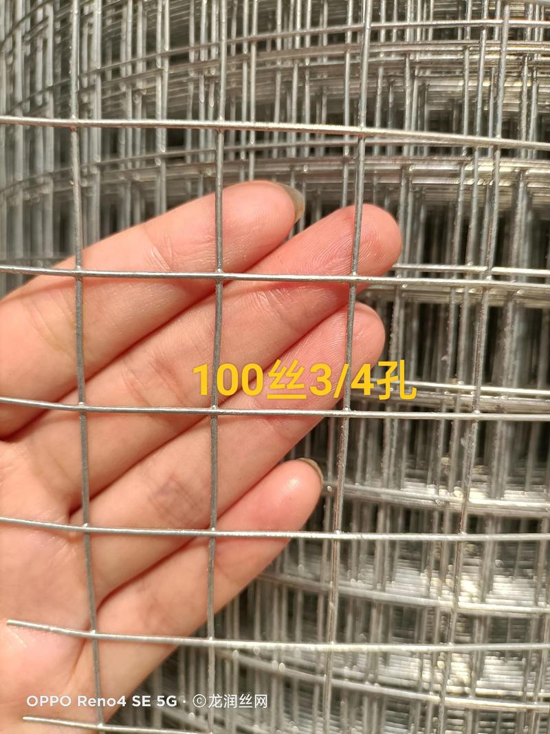 养殖网 #筛网 #电焊网#鱼塘防护网 #防护网 #鱼塘防
